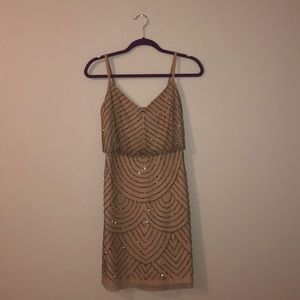 Beaded Blush Adrianna Papell Dress